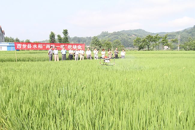 西鄉縣”兩防一噴”無人植保機現場演示 西鄉縣”兩防一噴”無人植保機現場演示